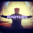 animals<3 (leuterhsMagkas)